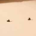 Minimalistische Herz-Ohrstecker mit Goldrand und schwarzem Emaille-Inlay - 1cm / Schwarzes Herz Ohrstecker