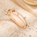 Rose gold butterfly bangle with double row pavé diamonds and frosted butterfly accents - Rose Gold