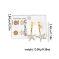 Ensemble de boucles d'oreilles en acier titane doré avec chiffres romains et étoiles - Ensembles de boucles d'oreilles en zircone étoile de mer 0981