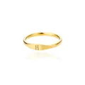 Macro detail of minimalist gold stainless steel ring featuring an engraved letter H - Letter Y / Gold
