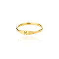 Detaillierte Makroansicht des goldenen Edelstahlrings mit eingraviertem Großbuchstaben M - Englischer Buchstabe M / Normale Spezifikation / Gold