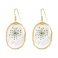 Irregular oval drop earrings with white dried flowers in golden metal frame - Oval White Dried Flower (E1969)