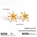 Détails macro des boucles d'oreilles étoile de mer dorées avec dimensions et texture - Forme d'Étoile de Mer (DKE25-241GL)