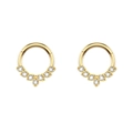 Macro view of gold-plated hinged segment rings with sparkling fan-shaped zircon stones - Marquise Gold