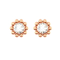 Detailed macro view of daisy-shaped rose gold stud earrings with clear crystal centers - Sun Flower Style (Style 7) / Rose Gold