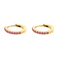 Elegant gold huggie earrings featuring a row of sparkling pink round cubic zirconia - Steel / July Rose Red