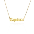 Golden 316L stainless steel necklace featuring a gothic Capricorn zodiac pendant - Capricorn - Gold