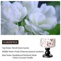 Gardenia scented candle in blue and white porcelain jar with sandalwood base notes - Red Porcelain/Black/Gardenia
