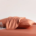 Caramel Xinjiang long-staple cotton pillowcase with premium silky satin texture - 48cm x 74cm (Pillowcase Set) / Bright Orange
