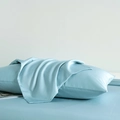 Luxury ice blue Xinjiang long-staple cotton pillowcase with silk-like satin finish - 48cm x 74cm (Pillowcase Set)