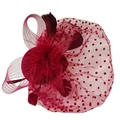 Detail of burgundy fascinator with polka dot mesh veil and decorative feathers - Burgundy