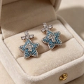 2604126 Cross Star Zirconia Earrings