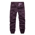 Men's dark purple elastic waist cargo pants with multiple pockets and ribbed cuffs - Burgundy