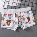 Herren-Strick-Boxershorts mit niedlichen Tierprints auf cremefarbenem Baumwollstoff - M / Khaki Bär