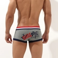 Rear view of grey men's boxer briefs with Surf Rider print and striped waistband - M / Light Heather Grey