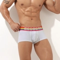 Nahaufnahme weißer Boxershorts mit Regenbogen-Gummibund und U-Form-Ausschnitt - M / Weiß