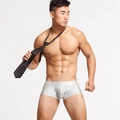 Detailaufnahme der Herren-Boxershorts aus Nylon mit glattem Stoff und elastischem Markenbund - M / Silber