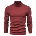 Men's slim fit turtleneck knit sweater in burgundy with ribbed cuffs and hem - S / Tops / Red