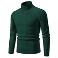 Men's dark green turtleneck sweater featuring textured stripe pattern and slim fit design - Dark Green