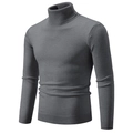 Men's slim-fit turtleneck sweater in dark grey with ribbed cuffs and hem details - M / Tops / Dark Gray