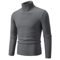 Men's slim fit dark grey turtleneck sweater in ribbed knit design for autumn and winter - M / Tops / Dark Gray