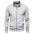 Men's light gray stand collar zip-up sweatshirt with black stripes and side pockets - S / Tops / Light Gray