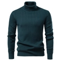 Slim fit men's turtleneck ribbed knit sweater in dark green for autumn and winter - S / Dark Green