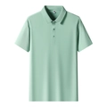 Hellgrünes Herren Polo-Shirt mit kurzen Ärmeln, klassischem Kragen und Nahtlos-Design - M / Minzgrün