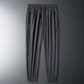 Herren Jogginghose aus Eisseide in Dunkelgrau mit Kordelzug und ATH-B Logo Detail - M / Grau Jogger