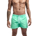 Men's quick-dry mint green beach shorts with elastic drawstring waist and side pockets - Mint Green