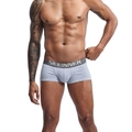 Detailed view of gray cotton boxer briefs featuring a wide elastic logo waistband - M / Gray