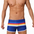 Men's navy swim trunks with colorful side stripes and white trim on an athletic fit - M / Dark Blue
