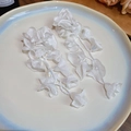 Close-up of white chiffon flower earrings with elegant bead tassels on a plate - White Chiffon Flower Seed Bead Tassel Style (26#) / White