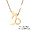 Gold stainless steel Capricorn constellation pendant anklet with high-polish finish - Capricorn / Gold