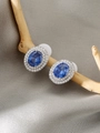 Makroaufnahme ovaler blauer Saphir-Ohrringe mit doppelter Zirkonia-Umrandung auf Ast - Silber