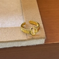 Adjustable golden horsebit ring with sparkling zircons and a brushed metal finish - Brushed Horsebit (Gold)