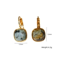 Luxury 12mm square natural gemstone drop earrings in gold titanium steel finish - African Pine Earrings / Earrings