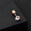 Ohrstecker aus roségoldenem Titanstahl mit vierzackigem Zirkon und Schraubverschluss - 2.0mm / Roségold