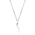 Polished silver cylindrical horn pendant necklace with a minimalist fine link chain - Steel