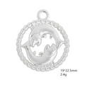 Detailed view of antique silver Pisces zodiac pendant with dimensions 19x22.5mm - Pisces / Antique Silver