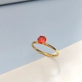 Minimalist gold stainless steel ring featuring a round orange-red zircon stone setting - US 6 / January Red - Gold