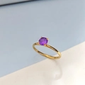 Eleganter Ring aus goldenem Edelstahl mit einem runden violetten Zirkon in Vierkrallenfassung - US 6 / Juni Lila - Gold