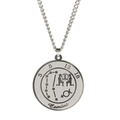 Collier pendentif Gémeaux en acier inoxydable argenté avec carte du ciel et chaîne - Gémeaux / Acier
