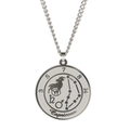 Collier avec pendentif Capricorne en acier inoxydable argenté et carte de constellation - Capricorne / Acier