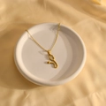 Detailaufnahme einer goldenen Stethoskop-Halskette auf weichem Seidenhintergrund - Ovaler Stethoskop-Stil / 45+5cm