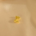 Detailaufnahme des goldenen Z-Anhängers mit glitzernder Textur auf Seidenhintergrund - Anhänger Z