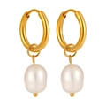 Boucles d'oreilles torsadées en or avec perles d'eau douce baroques et créoles polies - Or Brillant