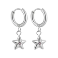 Orecchini a stella in acciaio inossidabile con zircone viola e finitura argento - Pietra Viola (ED0321) / Argento