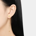 Elegante vergoldete Kleeblatt-Durchziehohrringe mit zarter Kette für Damen - Kleeblatt Quaschenkette Stil / Gold