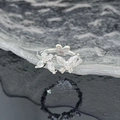Detailed close-up of butterfly zircon ring with silver floral pattern and sparkles - White Butterfly Silver Ring (JZ4027)